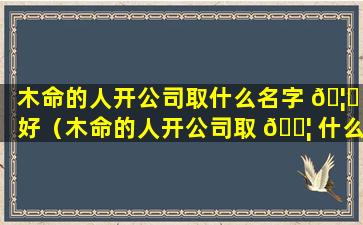 木命的人开公司取什么名字 🦊 好（木命的人开公司取 🐦 什么名字好一点）